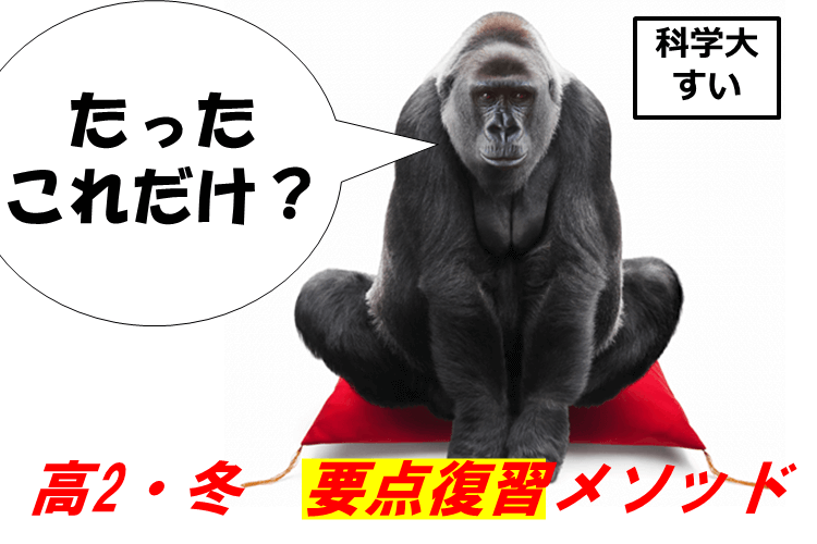 【最難関大】「たったこれだけで差がつく！？」的な、高2・冬の要点復習メソッド.png
