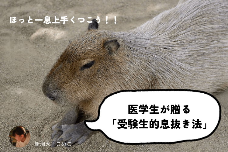 ほっと一息上手くつこう！！.png