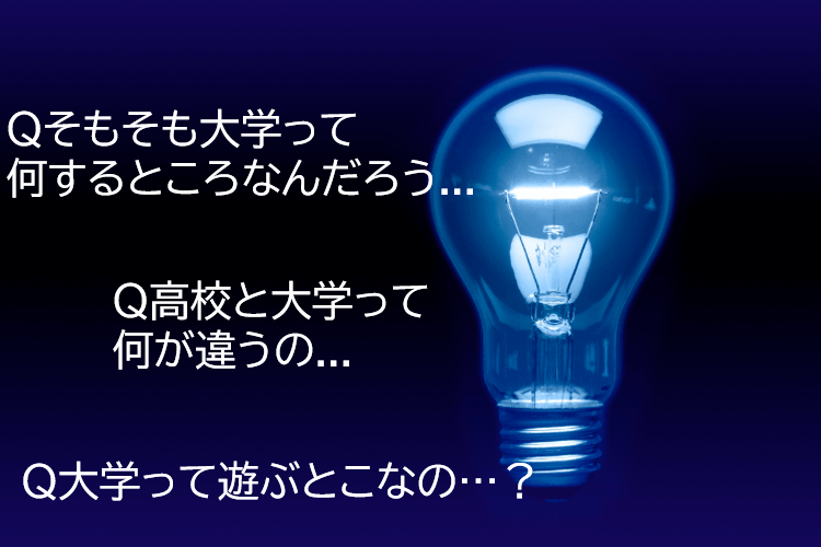 スクリーンショット (17).png