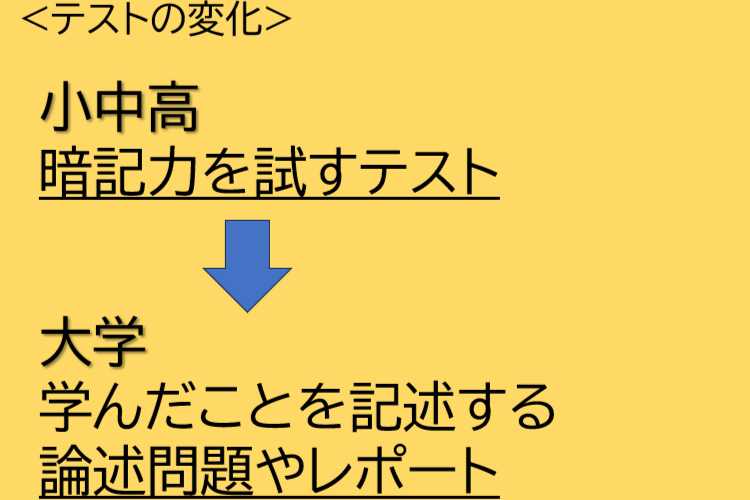 スクリーンショット (19).png