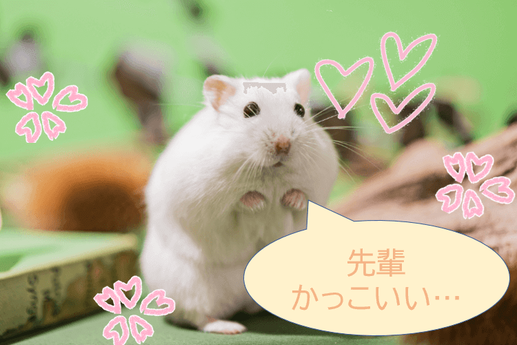 スクリーンショット (5).png