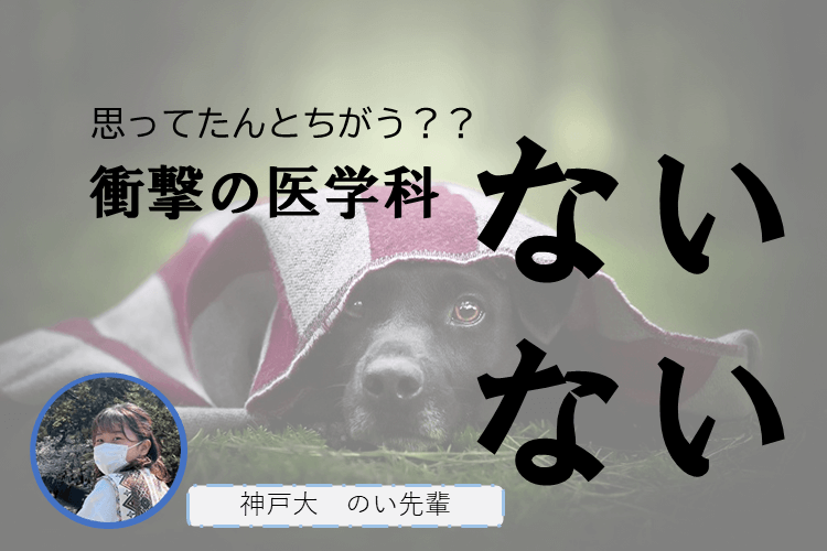 医学科ないない.png