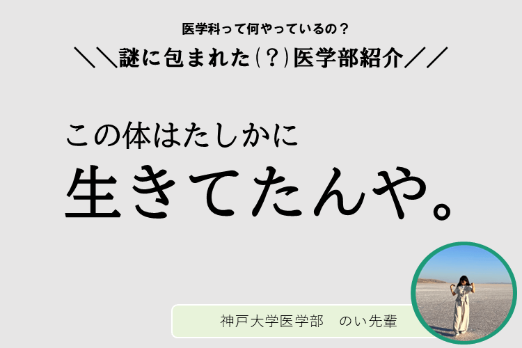 医学科紹介.png