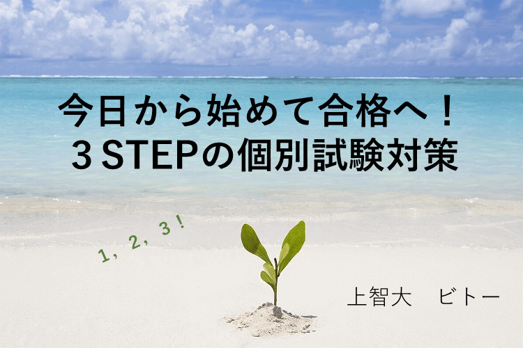 圧縮済み【今からできる個別試験対策】.png