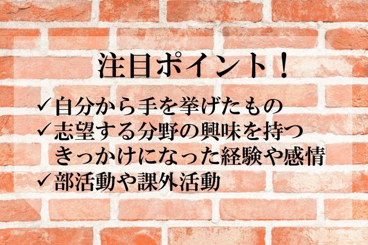 注目ポイント!.png