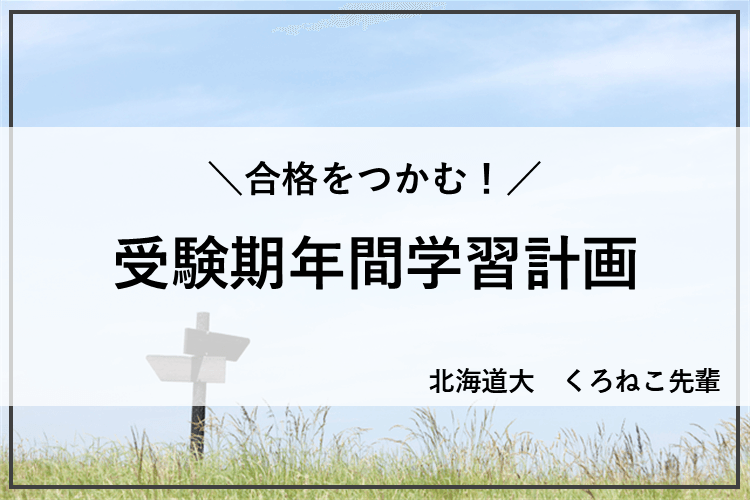 受験期年間学習計画