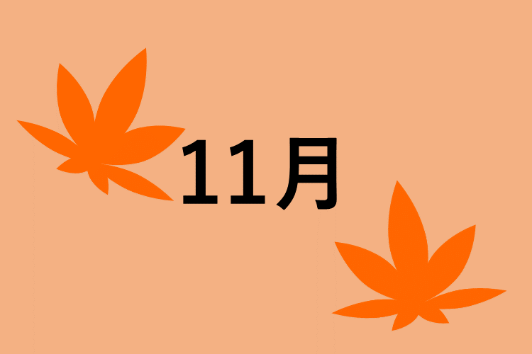 11月：模試と過去問で実力チェック