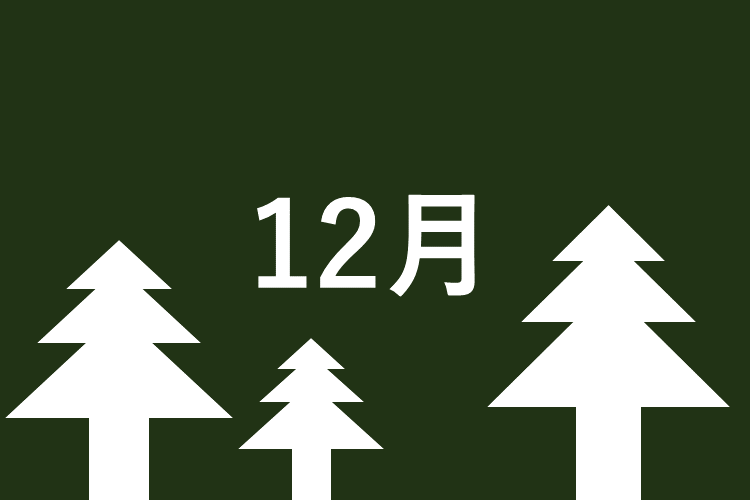 １２月：総仕上げと共通テスト対策強化