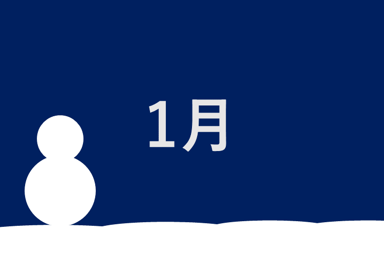 １月：共通テスト直前対策と２次試験準備