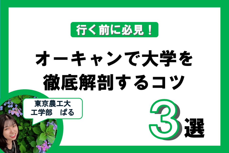 20250715ミライ科記事.png