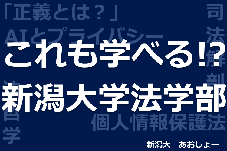 これも学べる?!新潟大学法学部.png