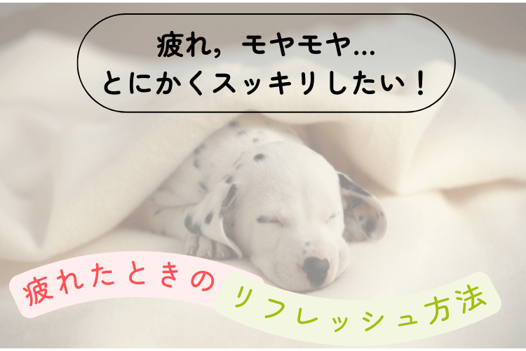 【大学進学総合】これでスッキリ！疲れたときのリフレッシュ方法