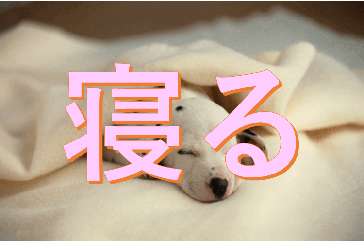 寝る