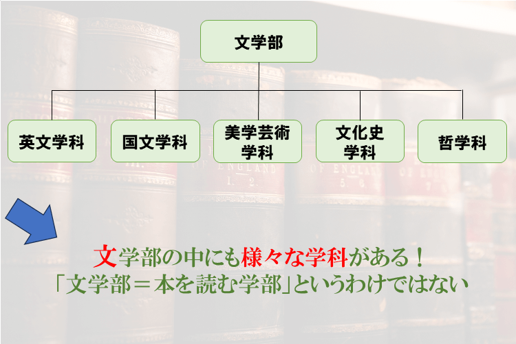 文学部