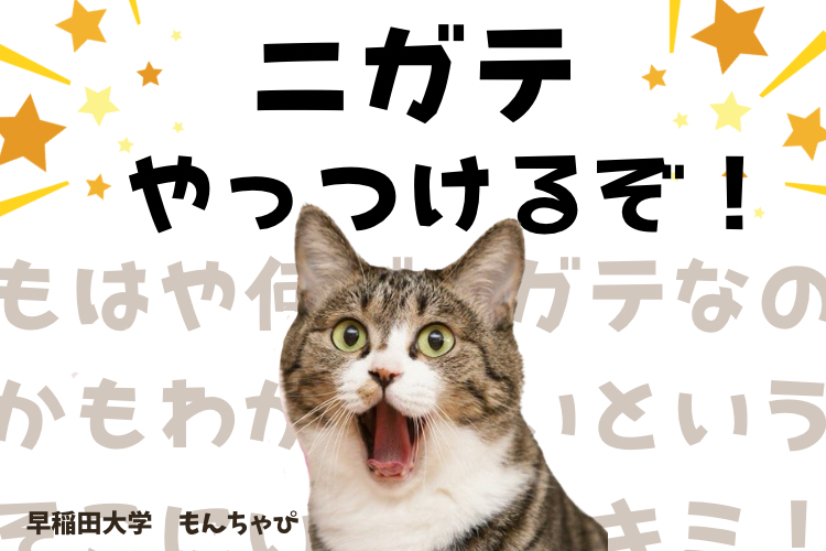 IMG_2090.png