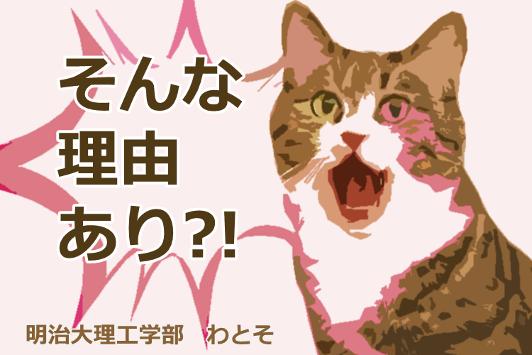 【難関私立大】真面目じゃなくていい!?ぶっちゃけ明大志望理由
