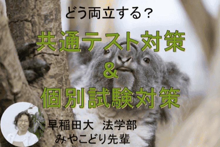 【早稲田大】どう両立する？共通テスト対策と個別試験対策