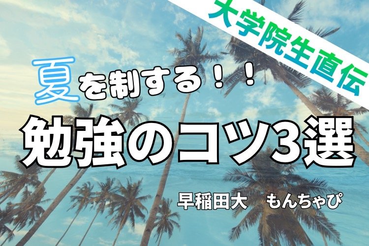 【早稲田大】夏にブン回せ!最強★勉強のコツ!!