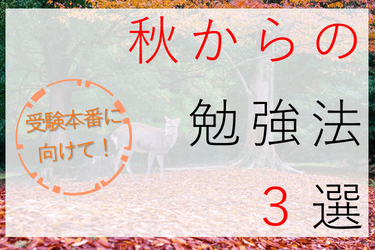 【京都大】秋からの勉強、何すればいい?使う教材と進め方を解説