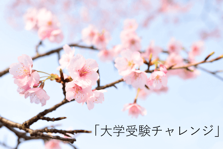 大学受験チャレンジ