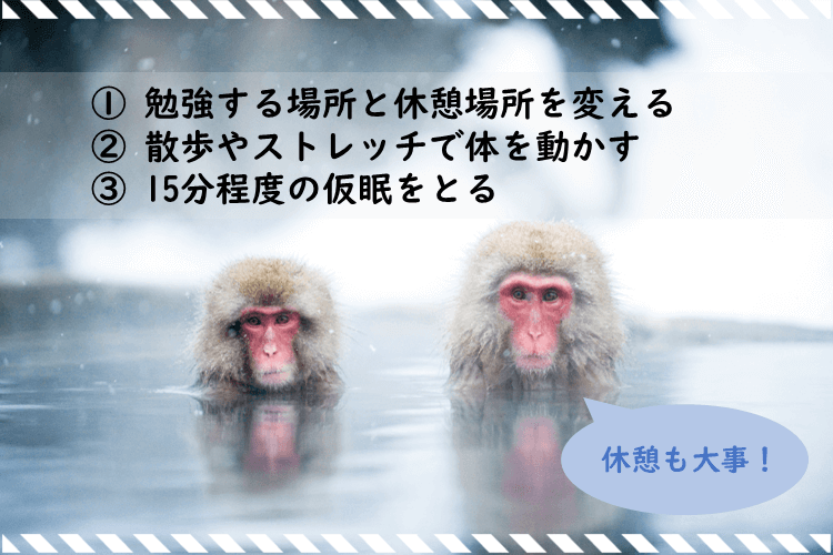 【難関私大】休憩も大切！私のおすすめリフレッシュ法3選！4