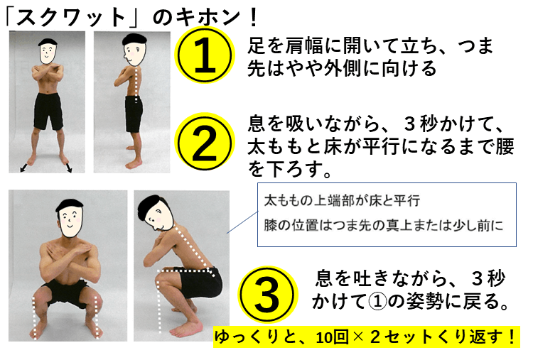 秘密の筋トレのススメ③ そのスクワットでは、ヒョロヒョロのまま！ 【部活】｜ミライ科｜進研ゼミ高校講座